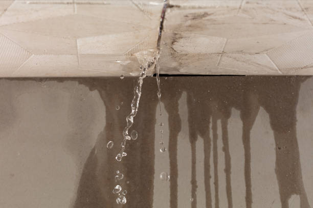 Professional Burst Pipe Cleanup technician working in Sekiu, WA